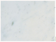 bianco-carrara.jpg
