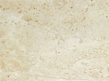 daino-chiaro.jpg