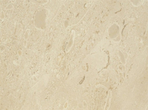 fossile.jpg