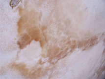 onice-cappuccino.jpg